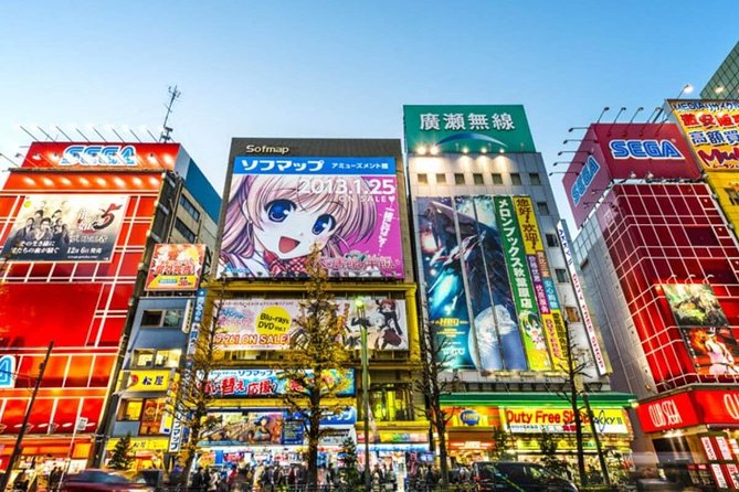 Tokyo Private Off-Beat Tour Hidden Oddities & Icons with a Local - Tokyo’s strange side, with a human guide
