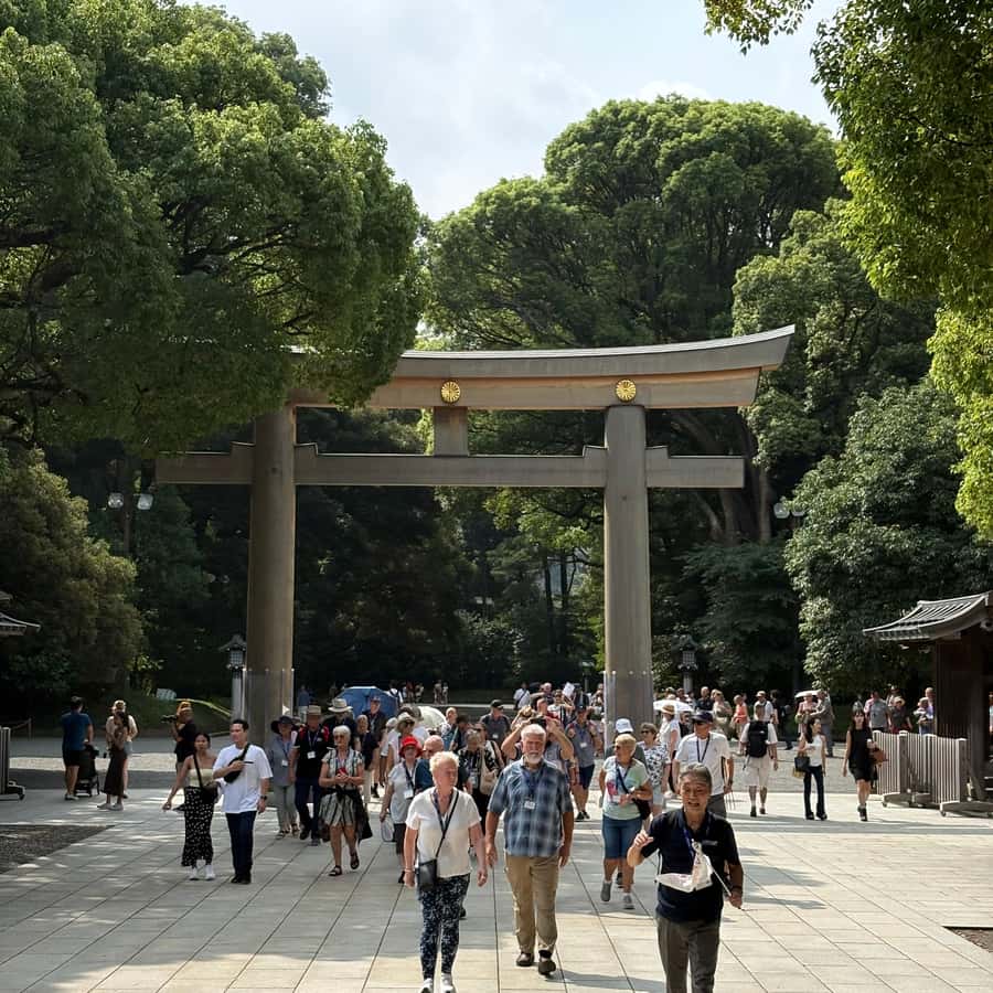 Tokyo: Private Shinto Shrines Tour by Car with Local Guide - Why Four Tokyo Shrines Make a Good Half-Day