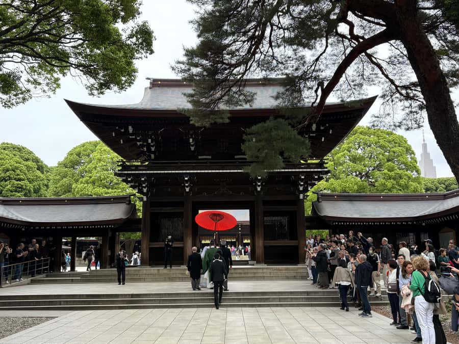 Tokyo: Private Shinto Shrines Tour by Car with Local Guide - What Is Not Included and What to Bring