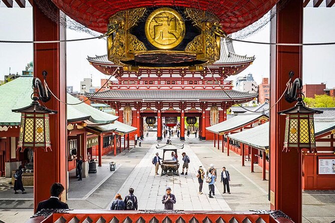 Tokyo Private SightSeeing Day Tour With Guide - Meiji Jingu trades city noise for a forested shrine setting