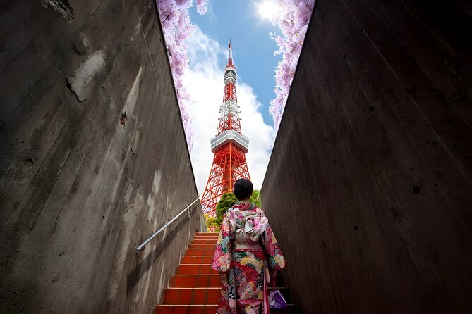 Tokyo Private Sightseeing Tour by Car and English Speaking Driver - Senso-ji Temple and the old side of Tokyo