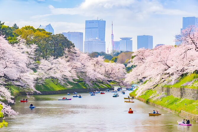 Tokyo Private Sightseeing Tour by Car and English Speaking Driver - Tokyo Tower and a second city view