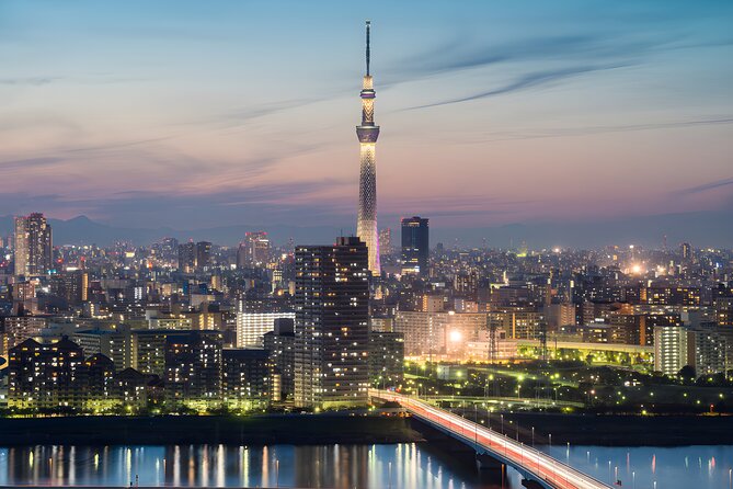 Tokyo Private Sightseeing Tour by Car and English Speaking Driver - Shibuya Crossing as the grand finale