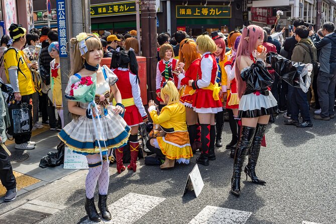Tokyo Private Sightseeing Tour by Car- English speaking chauffeur - Tokyo Skytree requires a ticket plan