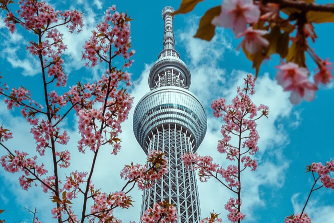 Tokyo Private Sightseeing Tour by Car- English speaking chauffeur - Ginza and Takeshita Street show two different Tokyos