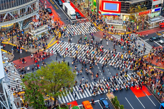 Tokyo Private Sightseeing Tour by Car - English speaking driver - Key points to know before booking