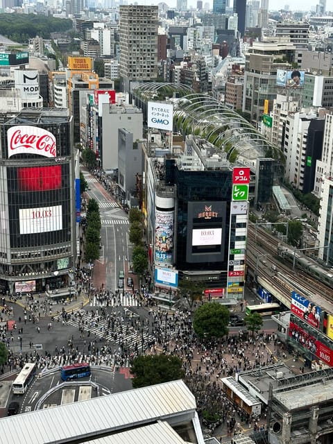 Tokyo: Private Tailored Tour with a Local Guide - Who will enjoy this Tokyo day