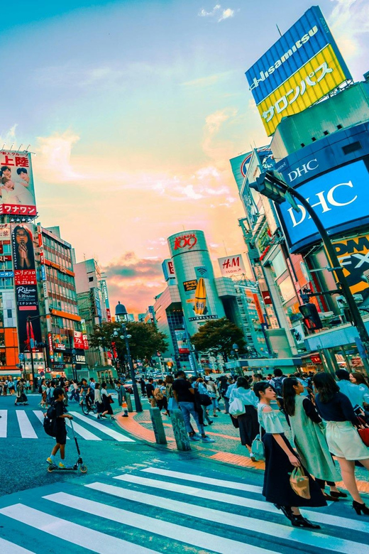 Tokyo: Private Tailored Tour with a Local Guide - Shibuya Crossing and the Hachiko stop