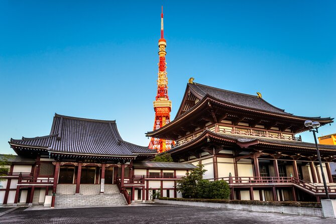 Tokyo Private Tour - What the vehicle and guide add