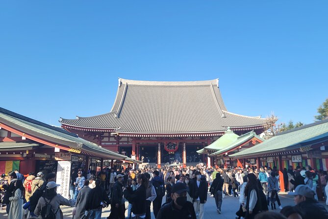 Tokyo Private Tour by Car with English speaking driver - Tsukiji Market: an early taste of Tokyo’s food culture