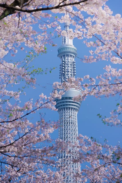Tokyo private tour by car with pick up - Why a private van helps in Tokyo