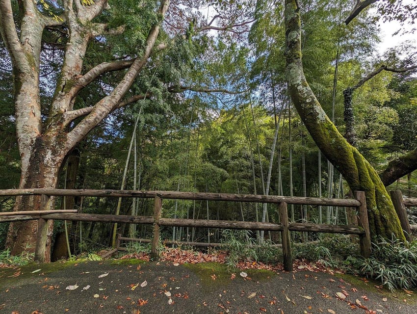 Tokyo private tour by car with pick up - Meiji Shrine, a quiet break near the city center