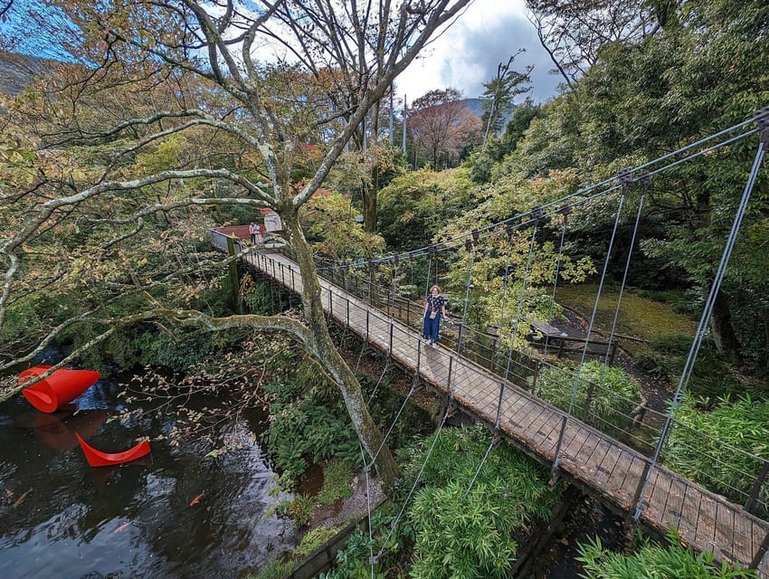 Tokyo private tour by car with pick up - Starting from Tokyo or Hakone