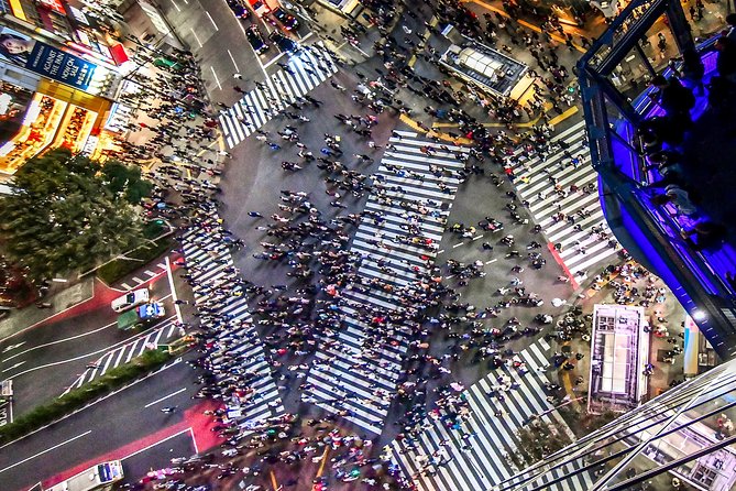 Tokyo Private Tour by Vehicle with English-Speaking Chauffeur - Tsukiji Outer Market: plan lunch around the food stalls