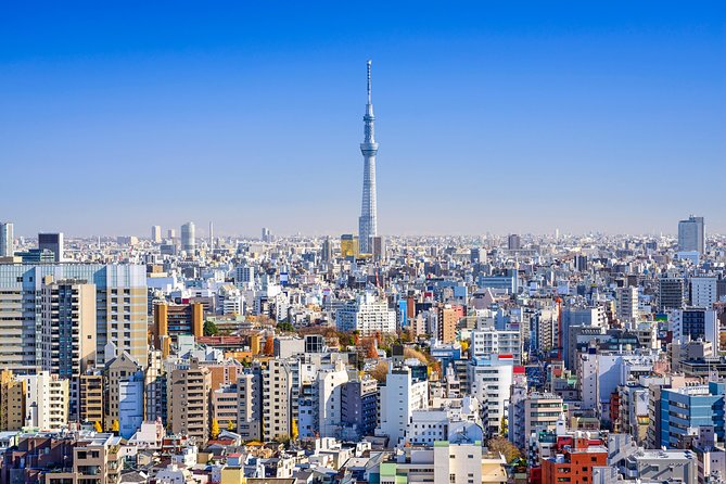 Tokyo Private Tour by Vehicle with English-Speaking Chauffeur - Meiji Jingu: forest paths and a major shrine