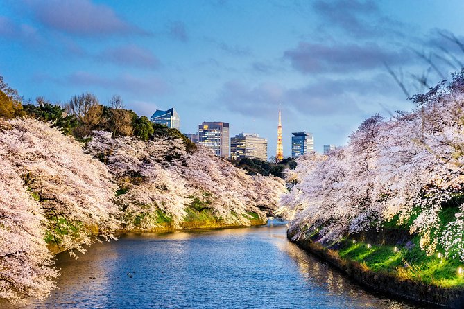 Tokyo Private Tour by Vehicle with English-Speaking Chauffeur - Senso-ji and Asakusa: begin with old Tokyo