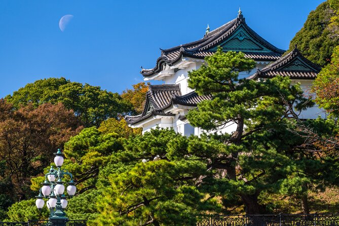 Tokyo Private Tour! Edo Castle & Imperial Palace East Gardens - What This Tokyo Palace Walk Actually Covers