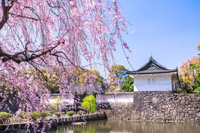 Tokyo Private Tour! Edo Castle & Imperial Palace East Gardens - Bridges, Nature, and Palace Views