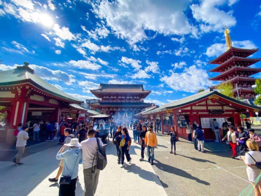 Tokyo Private Tour English Pro Guide By Luxury Vehicle - A private way to get your Tokyo bearings