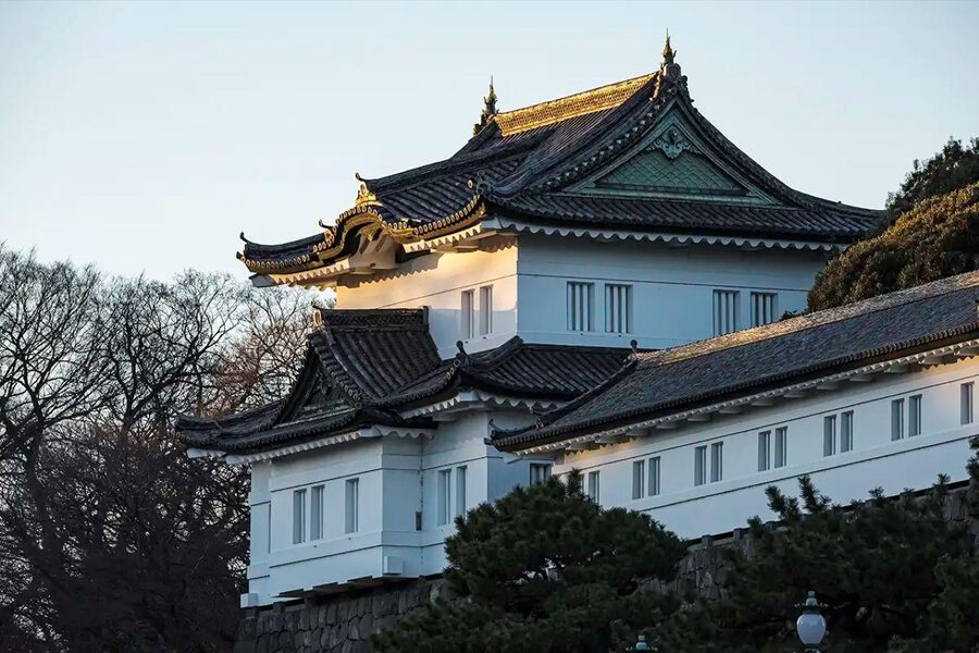 Tokyo Private Tour English Pro Guide By Luxury Vehicle - Imperial Palace gardens and the value of open space