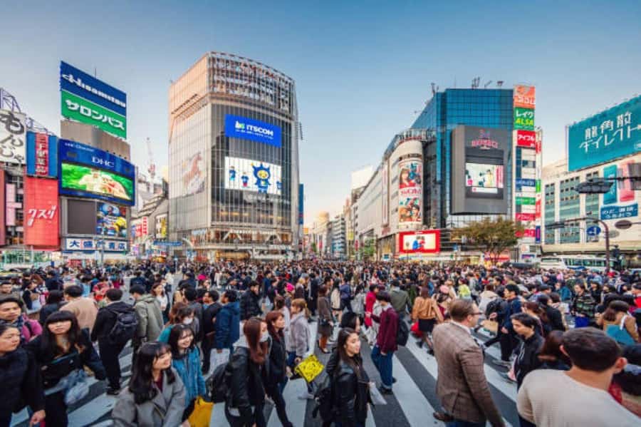 Tokyo Private Tour English Pro Guide By Luxury Vehicle - Tsukiji for food, with lunch at your own cost