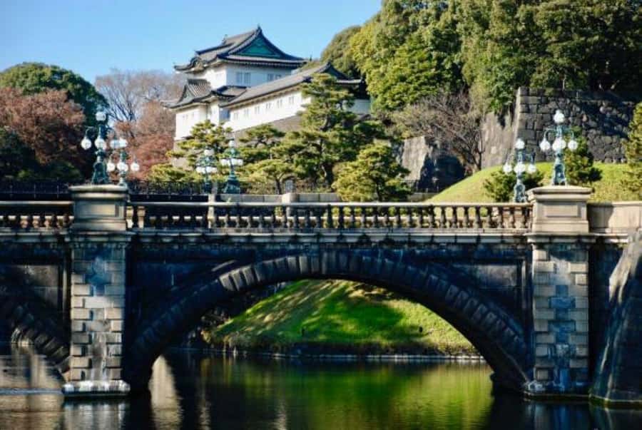 Tokyo Private Tour English Pro Guide By Luxury Vehicle - Shibuya Crossing and Tokyo’s modern city center