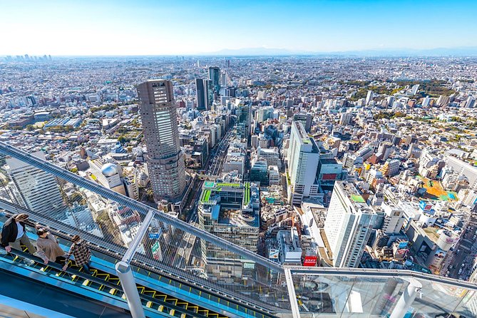 Tokyo Private Tour: One Day Highlights and Optional Shibuya Sky - A fast Tokyo introduction from old temples to rooftop views