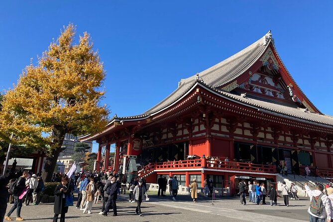 Tokyo Private Tour: One Day Highlights and Optional Shibuya Sky - Shibuya Sky at 230 meters