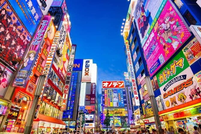Tokyo Private Tour with English Speaking Driver - Why a private car can work well in Tokyo