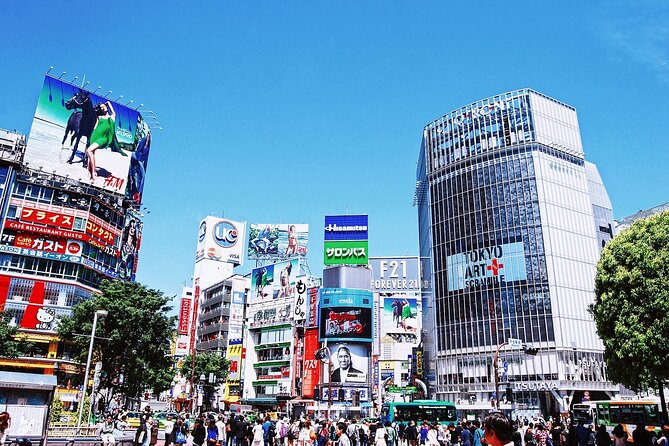 Tokyo Private Tour with Local Expert Guide – Hidden Gems - What the price really buys you