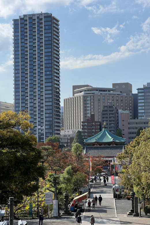 TOKYO Private visit guide Speaking French - Should you book it?