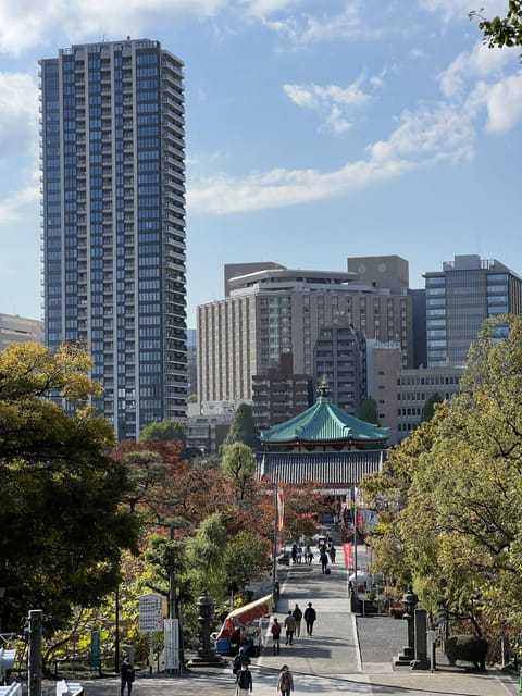 TOKYO Private visit guide Speaking French - The most useful part: learning Tokyo’s transport system