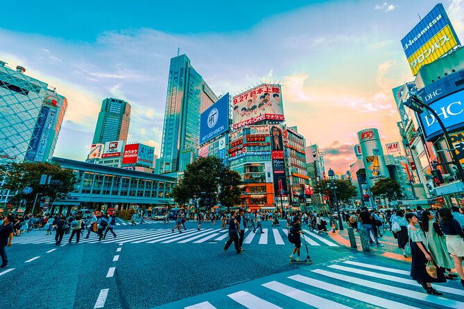 Tokyo: Private Walking Tour with a Local - A private Tokyo walk that starts with your questions