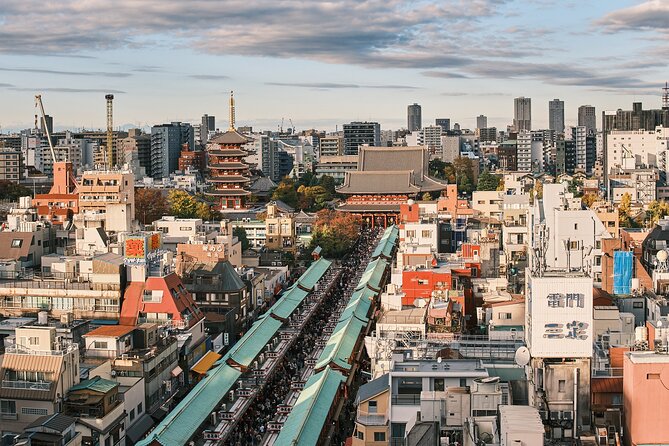 Tokyo: Private Walking Tour with a Local Guide - Sensō-ji, Asakusa, Ueno, and Ameya-Yokocho