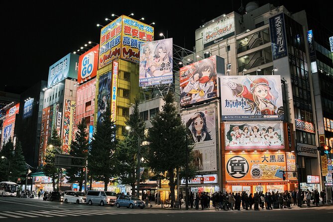 Tokyo: Private Walking Tour with a Local Guide - What makes the guides useful