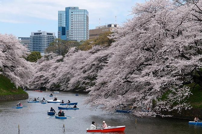 Tokyo: Private Walking Tour with a Local - What you can cover in three hours