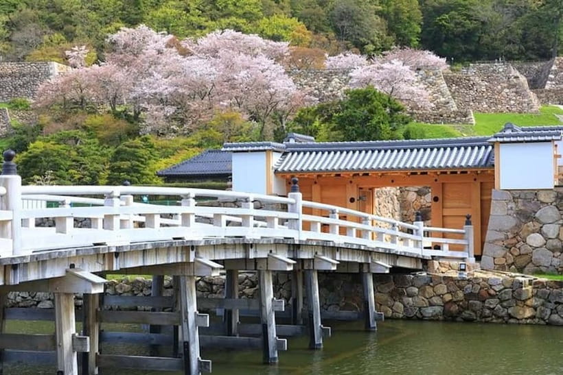 Tokyo: Pvt. Tour - Edo Castle & Imperial Palace East Gardens - Ninomaru Garden and Seasonal Color