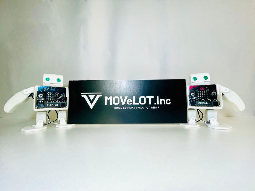 Tokyo: Robot Piloting Attraction Ticket - Who should book this Tokyo robotics experience?