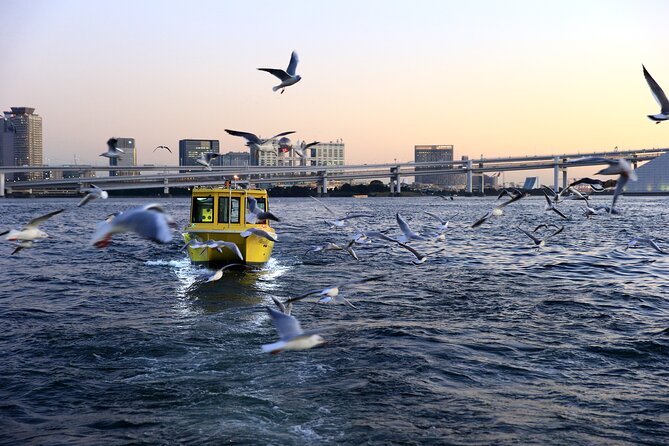 Tokyo: Scenic Bay Cruise with Local Guide on Private Boat - Odaiba and the Statue of Liberty from the bay