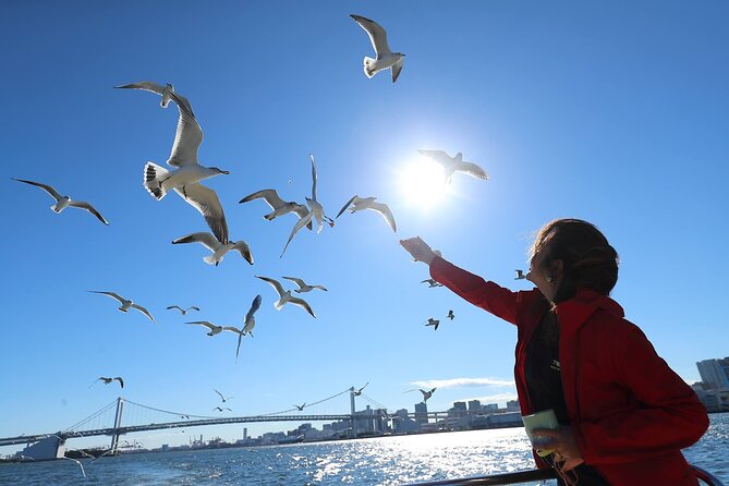Tokyo: Scenic Bay Cruise with Local Guide on Private Boat - Meeting the boat at Shibaura Dock