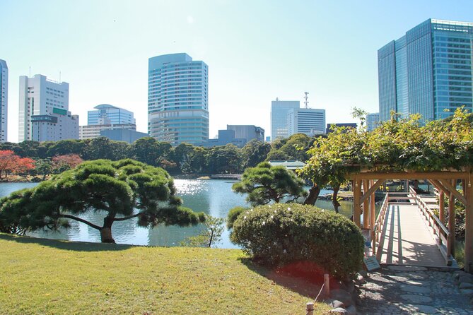 Tokyo Self-Guided Audio Tour - Shinjuku, Meiji Shrine, and the city from above