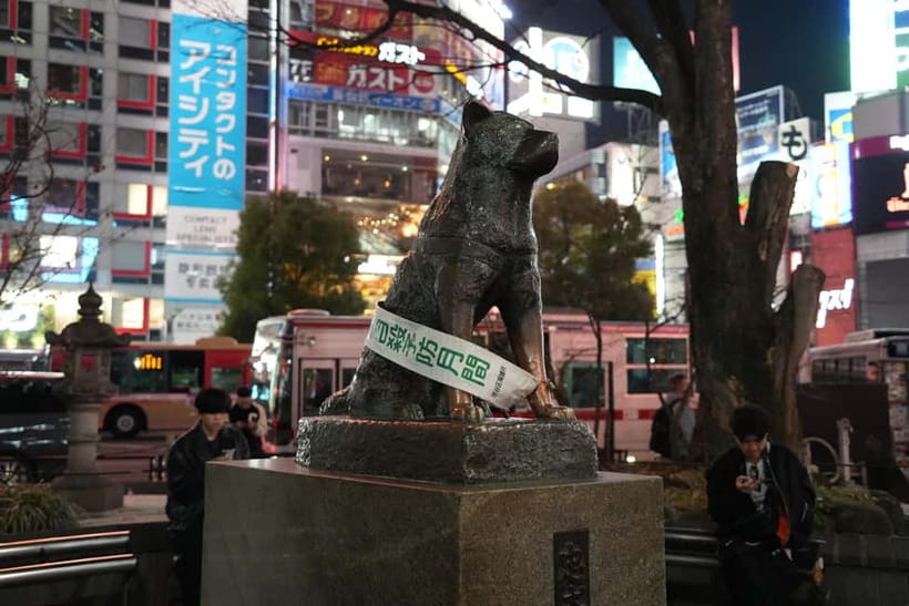 Tokyo: Shibuya Food Tour, Neon Lights & Local Flavors - A Small Onigiri Stop and the Last Shopping Stop
