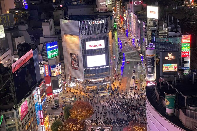 Tokyo: Shibuya Highlights Walking Tour - Finding a better view of the crossing