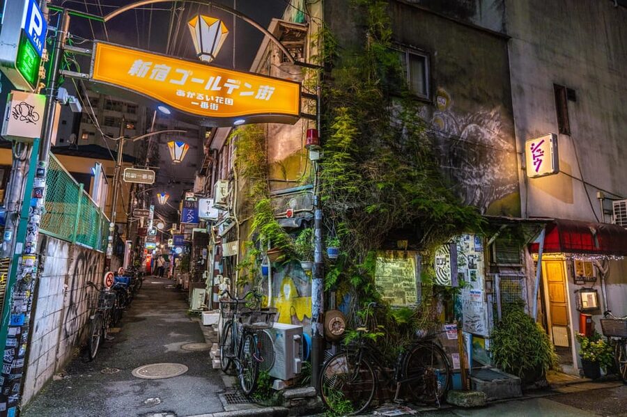 Tokyo: Shinjuku Golden Gai Bar Hopping that only locals know - Who will enjoy this two-hour evening
