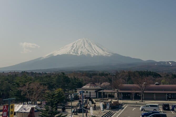 Tokyo: Shinjuku Historical Walking Tour & Secret Backstreets - Hanazono Shrine gives the walk a quiet ending