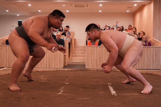 Tokyo Shinjuku Sumo Show and Experience with Drinks and Photo - Photos and the final meet-and-greet