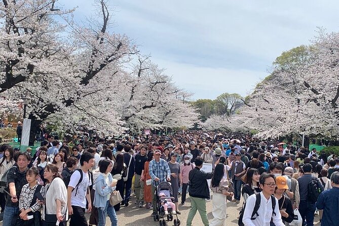 Tokyo Sightseeing/ City Tour by Private Car with English Guide - The Imperial Palace gives you central Tokyo context