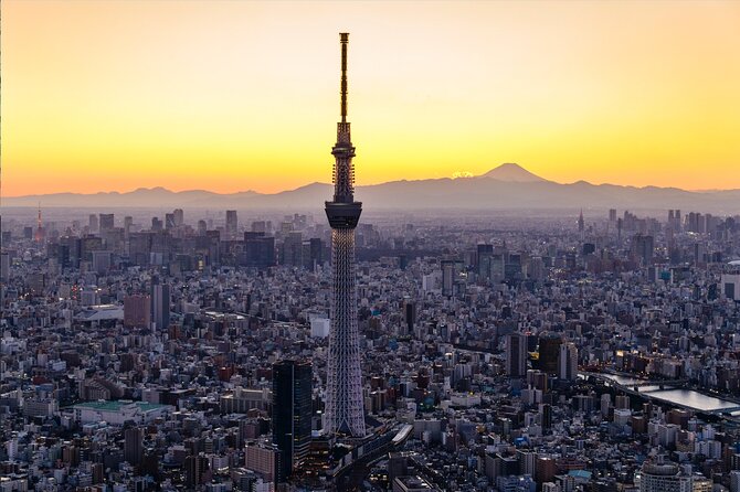 Tokyo Skytree Admission Ticket with Tembo Deck and Galleria - Tokyo from the Tembo Deck at 350 meters