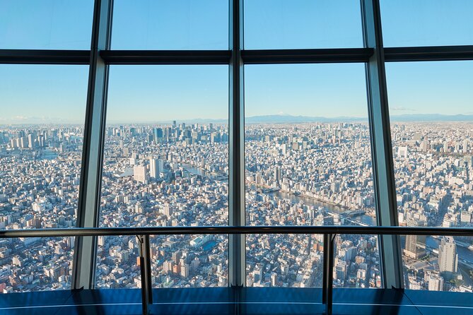Tokyo Skytree, Asakusa, and Imperial Palace 1/2-Day Private Tour - What the price includes, and what it does not