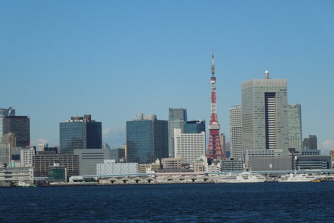 Tokyo Spectacular View Day-Cruise in 90 Minutes - Passing beneath Rainbow Bridge